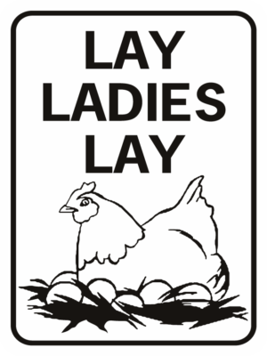 chicken Lay Ladies Lay