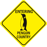 penguin entering penguin country