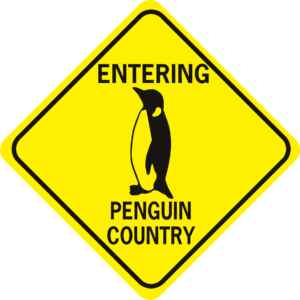 penguin entering penguin country