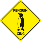 penguin xing