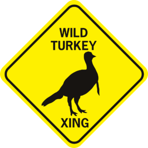 wild turkey xing