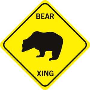 Bear Grizzley Xing