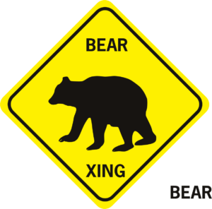 Bear Xiing walking flat feet