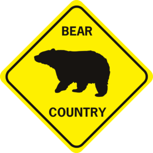 Bear Xing regular 5209