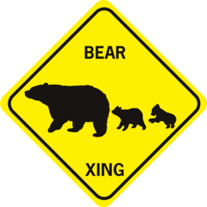 Bear Xing with Cubs