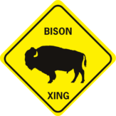 Bison Xing