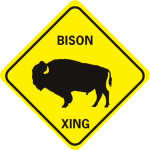 Bison Xing