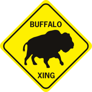 Buffalo Xing trotting