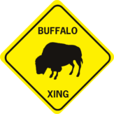 Bufflao Xing standing