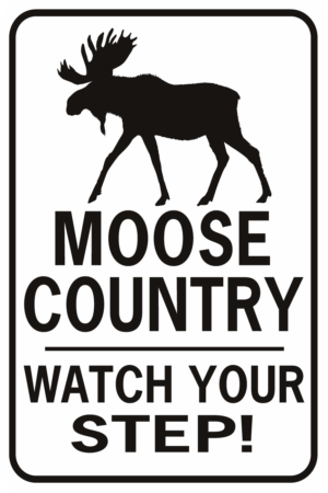 Moose Country Watch Your Step