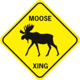 Moose Xing