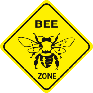 Bee Bee Zone w bee diamond