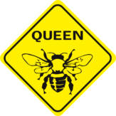 Bee Queen Bee diamond