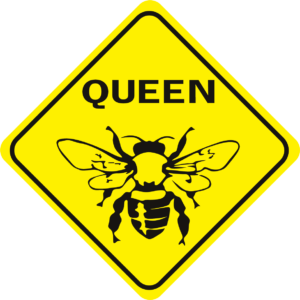 Bee Queen Bee diamond