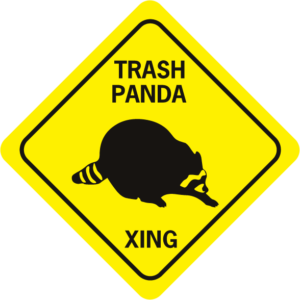 Raccoon Trash Panda diamond