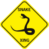 Snake Xing diamond open mouth