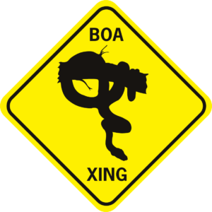 snake Boa Xing diamond