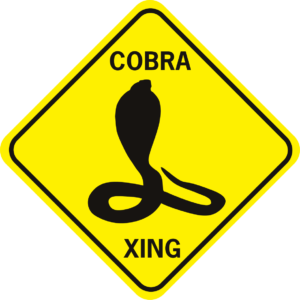 snake Cobra Xing diamond