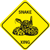 snake Xing cut out diamond