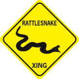 snake Rattlesnake Xing diamond