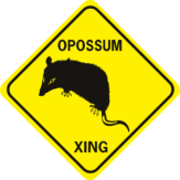opossum cut outs