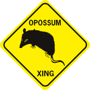 opossum cut outs