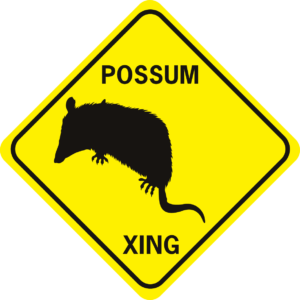 possum solid
