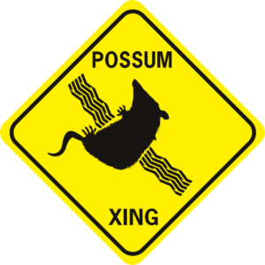 possum tire tracks