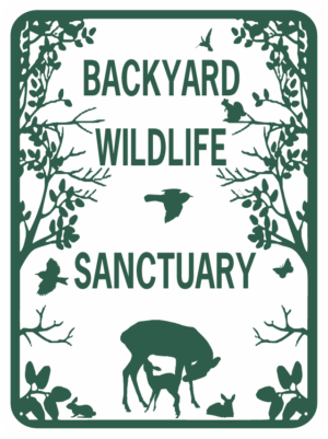 Backyard Wildlife Sanctuary