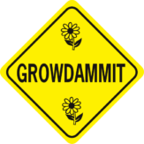 Grodammit w daisies diamond