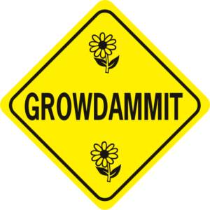 Grodammit w daisies diamond